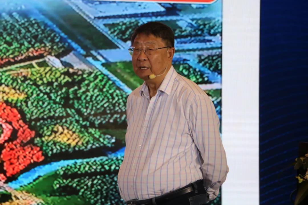 03181143524045.jpg 10.jpg